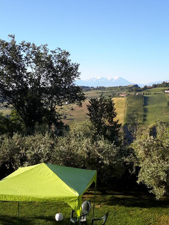 B&B L'Albero Di Antonia Atri Extérieur photo